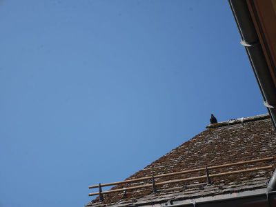 k-P1560817