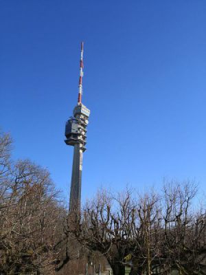 k-IMG_20240120_123907