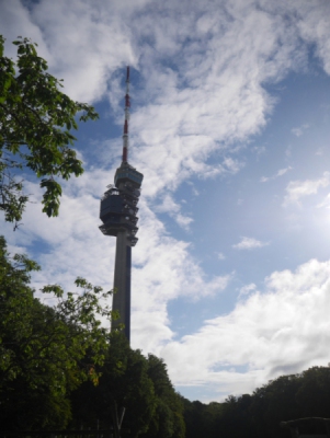 P1550546