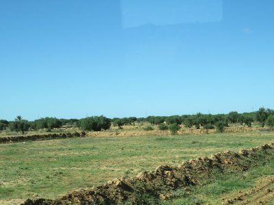 k-IMG_1804