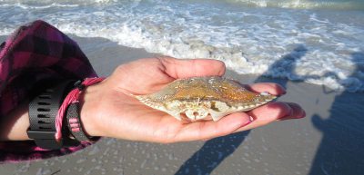 k-IMG_2087-2