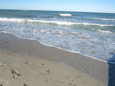 k-IMG_2101