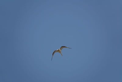 k-DSC00929