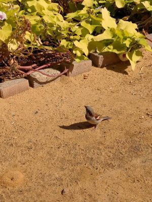 k-IMG_20230218_133357