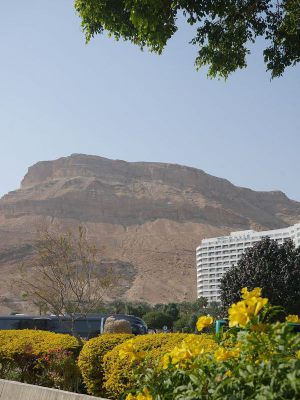 k-P1560236