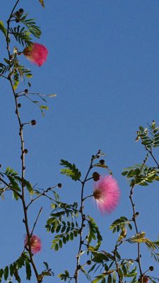 k-IMG-20200219-WA0026