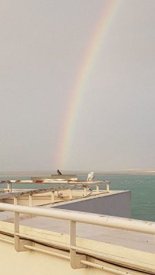 k-IMG-20200219-WA0091