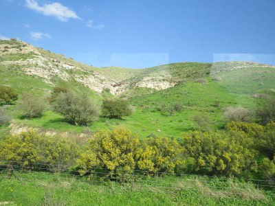 k-IMG_2878