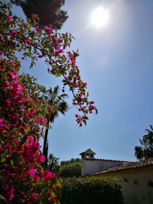 k-IMG_20190417_121824