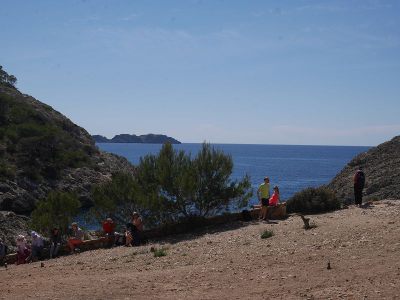 k-P1560552