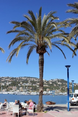 k-Mallorca_2018062