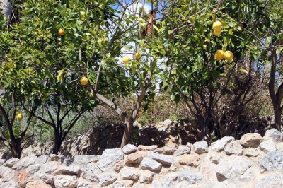 k-Mallorca_2018173