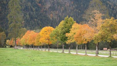 k-IMG_0269