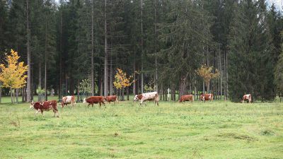 k-IMG_0270